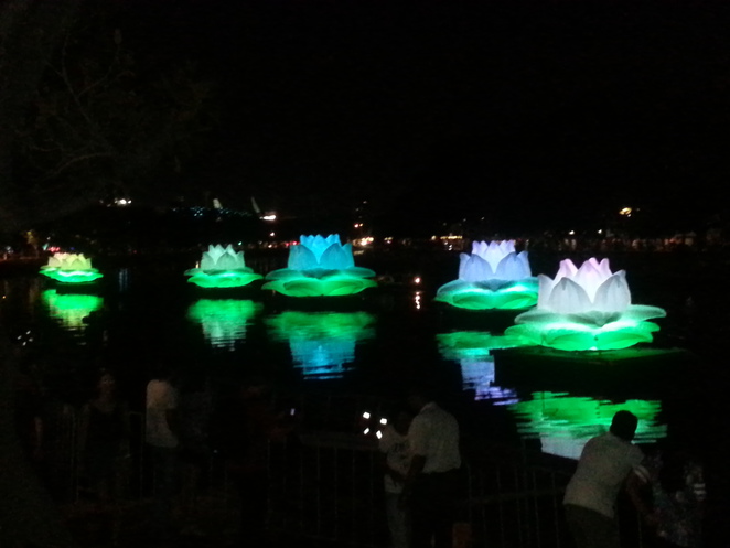 Whitenight 15 lotus flowers 2